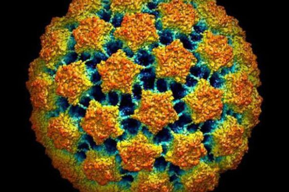 Cilvēka papilomas vīrusa diagnosticēšanas metodes